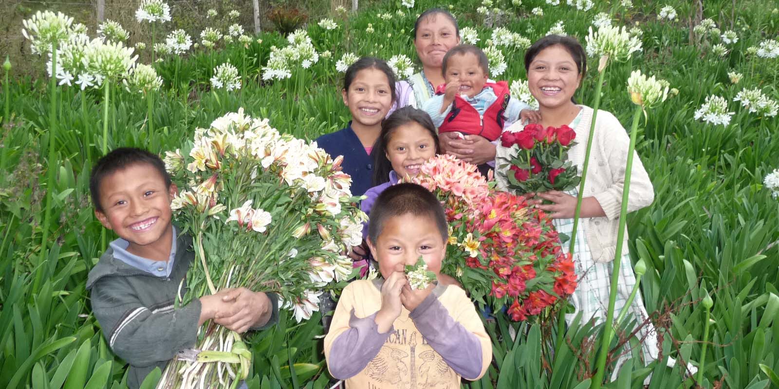 Diversidad cultural en la educación artística